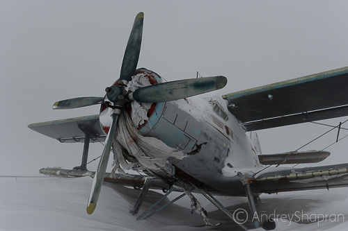 Andrey-Shapran--Cape-North-Chukotka-04.jpg