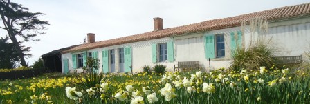 Maisons et jardin de la maison de Saint-Vincent-sur-Jard